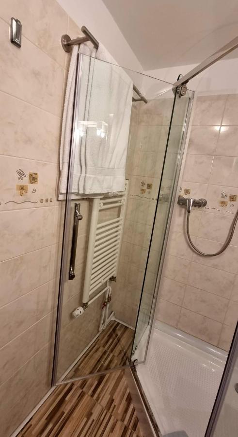 B&B Pensiunea Zodiac 3*