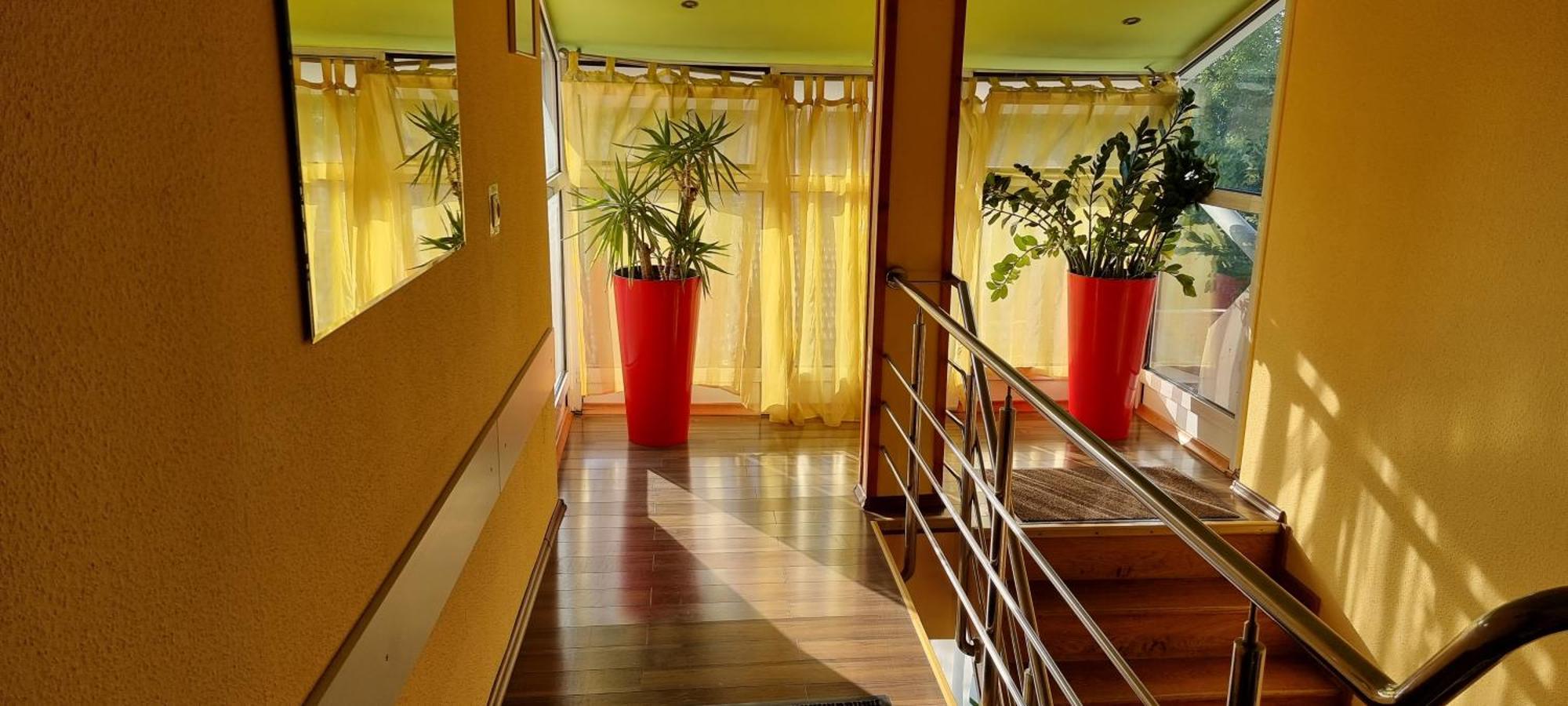 Pensiunea Zodiac B&B Timişoara